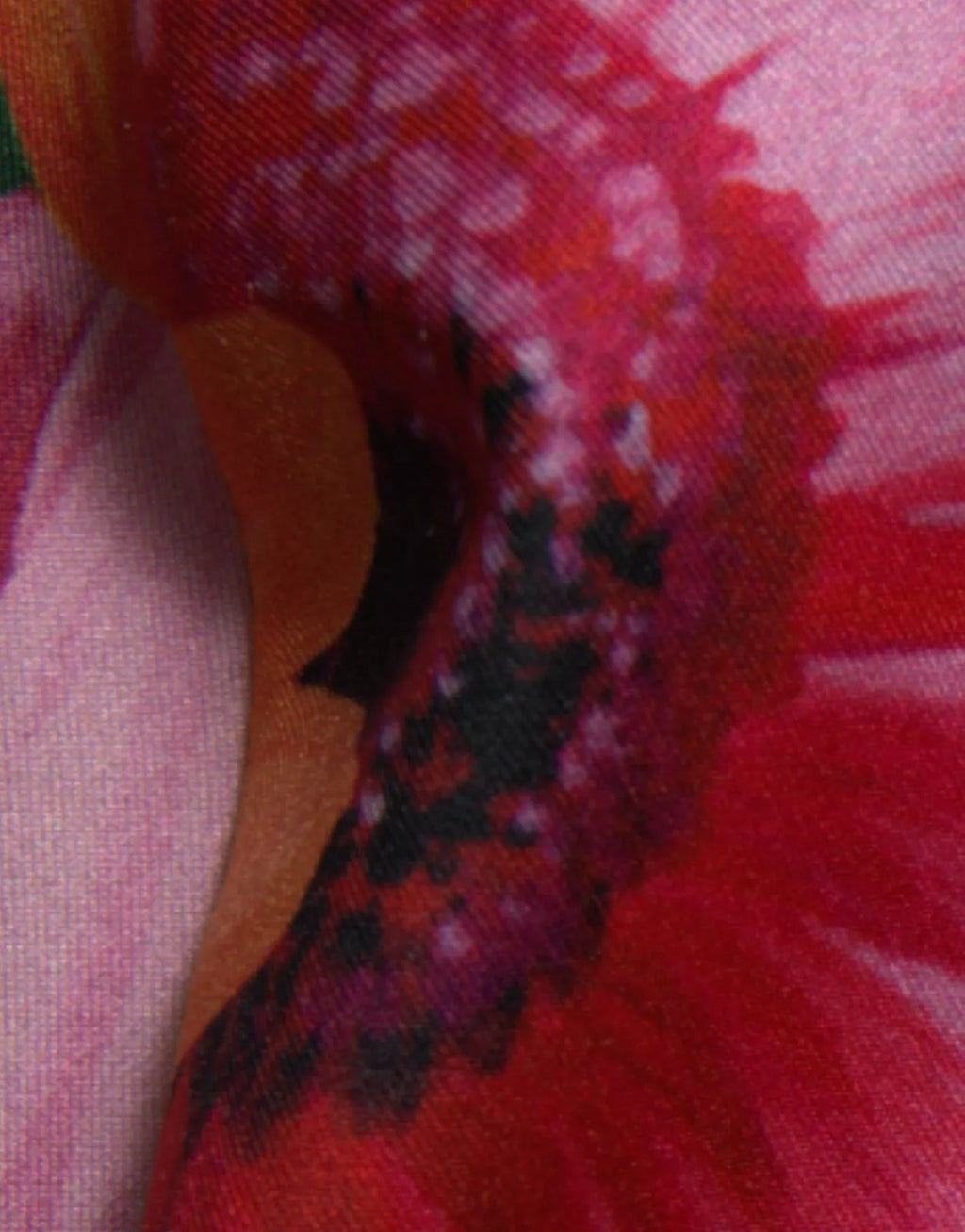 Dolce & Gabbana Multicolor Floral Print Sheath Mini Dress